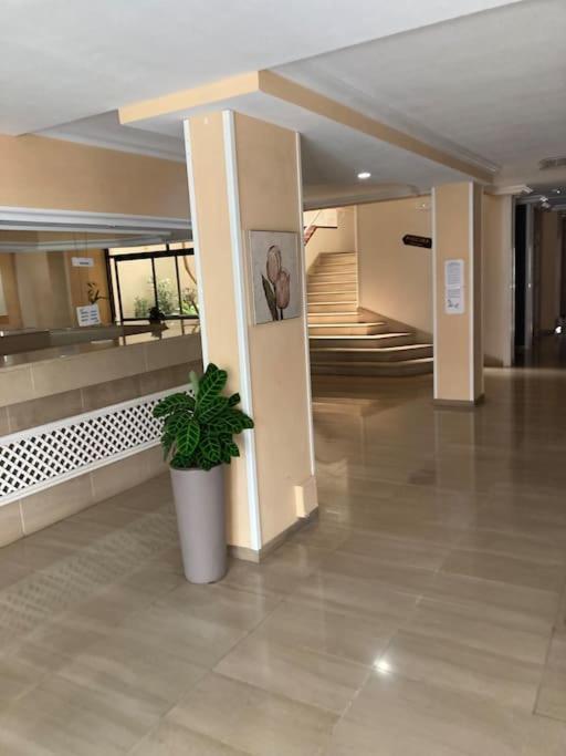 Apartament Sunset Aliss بويرتو دي سانتياغو المظهر الخارجي الصورة